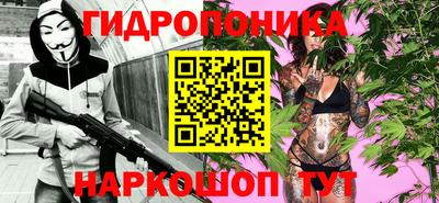 хмурый Новозыбков