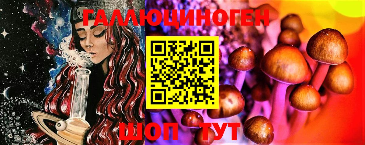 Псилоцибиновые грибы Cubensis  Вход с VPN  Сорочинск 